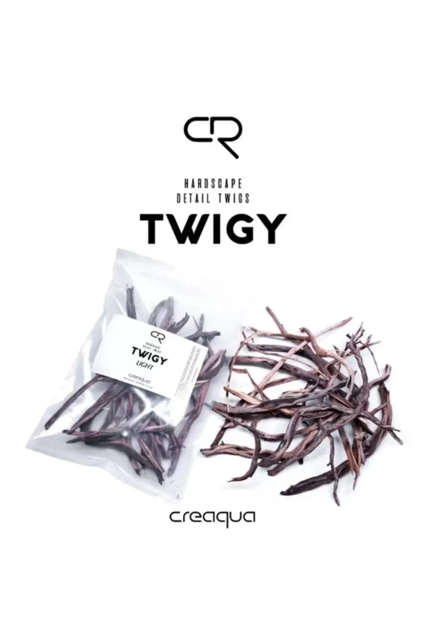 Creaqua Twigy Light Doğal Dal Dekoru