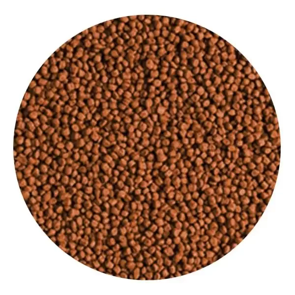 Tropical Red Parrot Granulat 100gr Kovadan Bölme Granül Balık Yemi