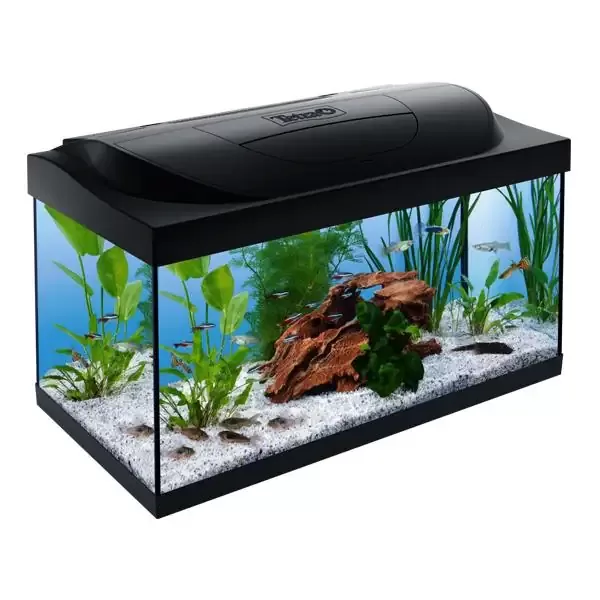 Tetra Starter Line Led Akvaryum 54 Litre