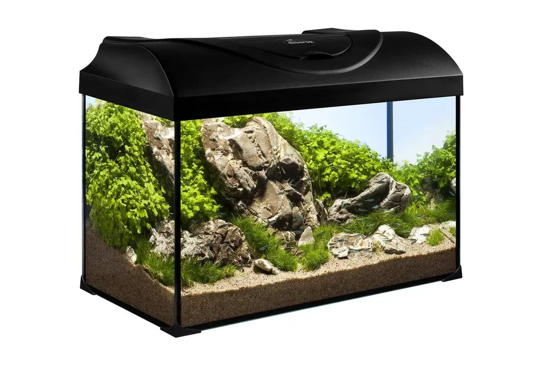 Diversa Aquarium Set Startup 40 Nano Akvaryum Seti (40x25x25 cm)