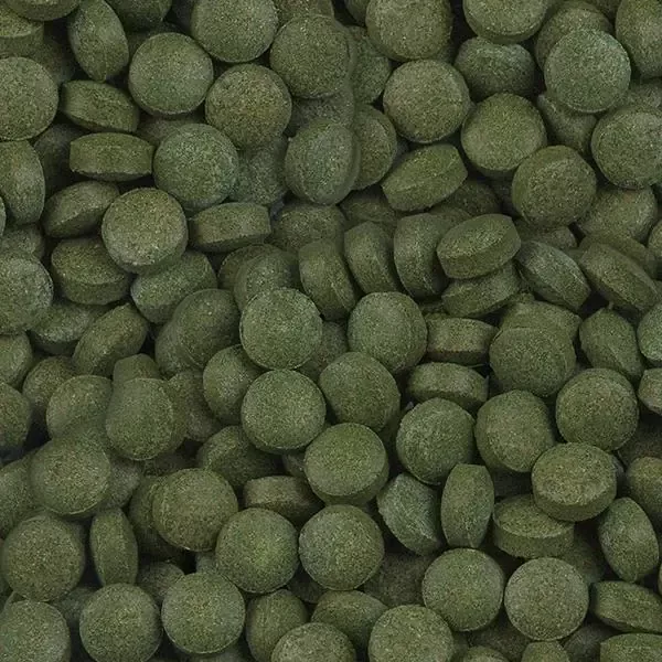 Sera Plankton Tabs Nature 500 Adet (Kovadan Bölme)