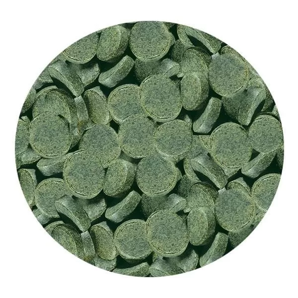 Sera Spirulina Tabs 500 Adet (Kovadan Bölme)