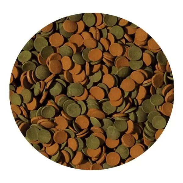 Tropical Mini Wafers Mix 50gr Kovadan Bölme